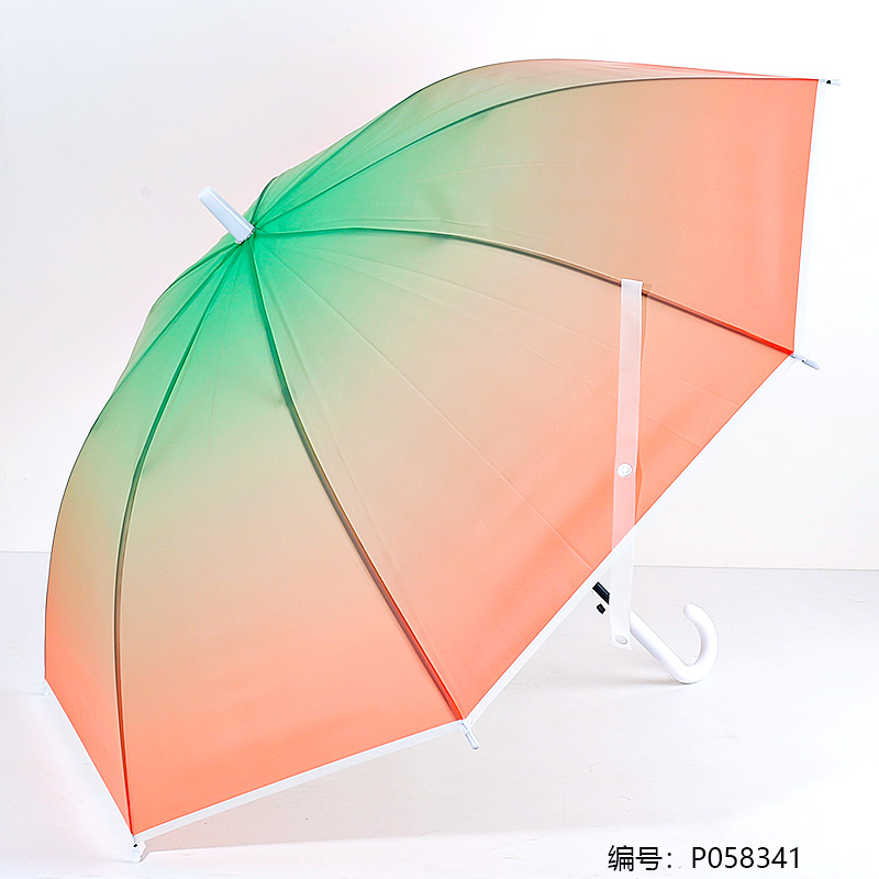 55cm Plus Frame Dream Umbrella