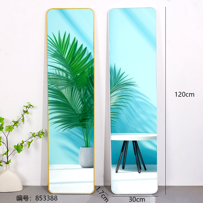 30 x 120cm Full-Length Framed Mirror
