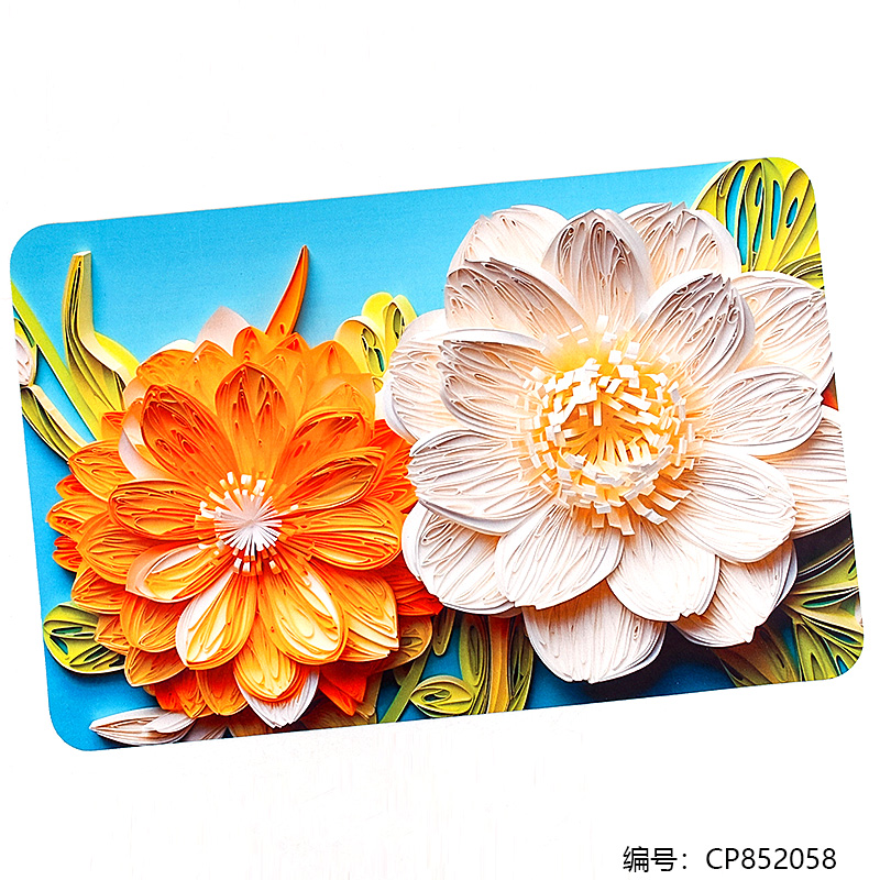 50 x 80 3D Large Brand Door Mat / Set
