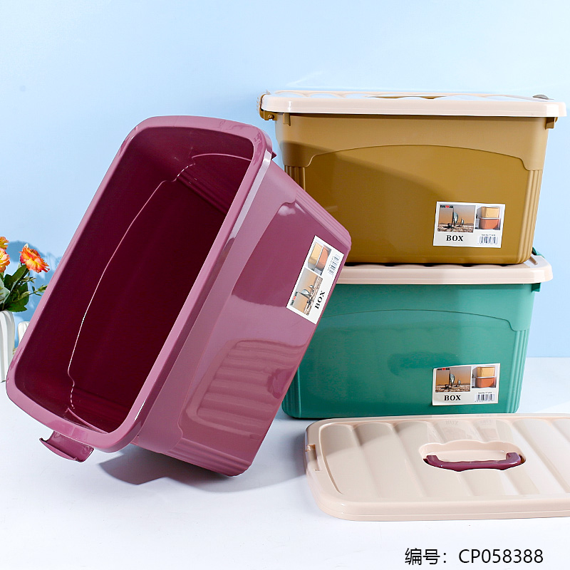 819 Solid Color Organizer