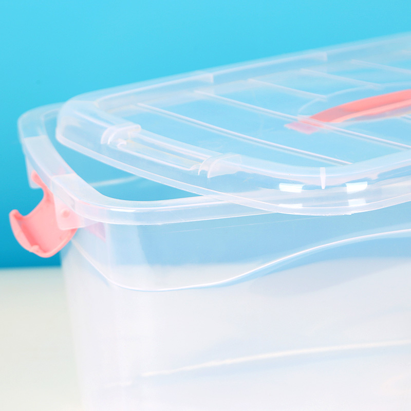 High Transparency Organizer [0137